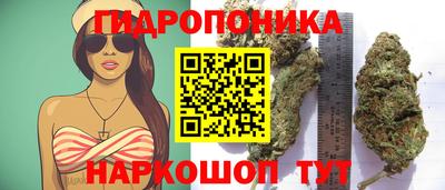 эйфоретик Обнинск