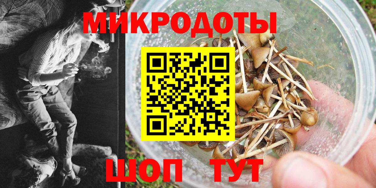 Псилоцибиновые грибы Magic Shrooms Томск